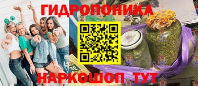 apvp Татарск