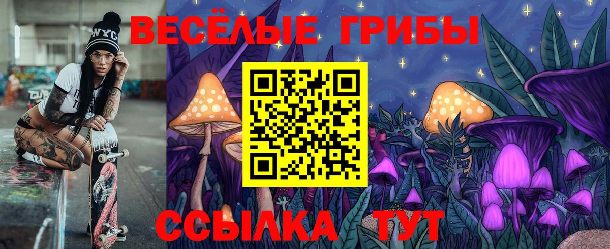Псилоцибиновые грибы Cubensis Курганинск