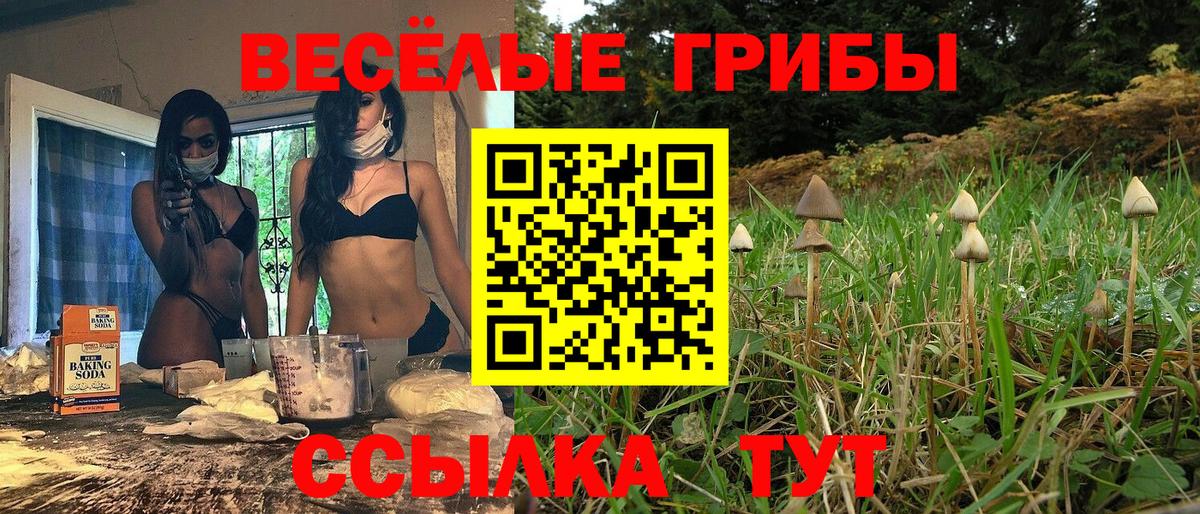 Курганинск  Галлюциногенные грибы мицелий  Вход с VPN 